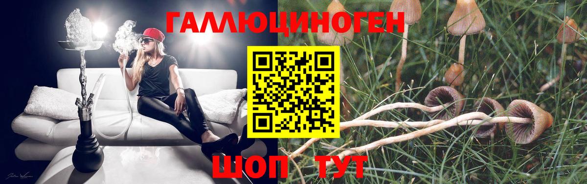 Галлюциногенные грибы Psilocybine cubensis Ефремов